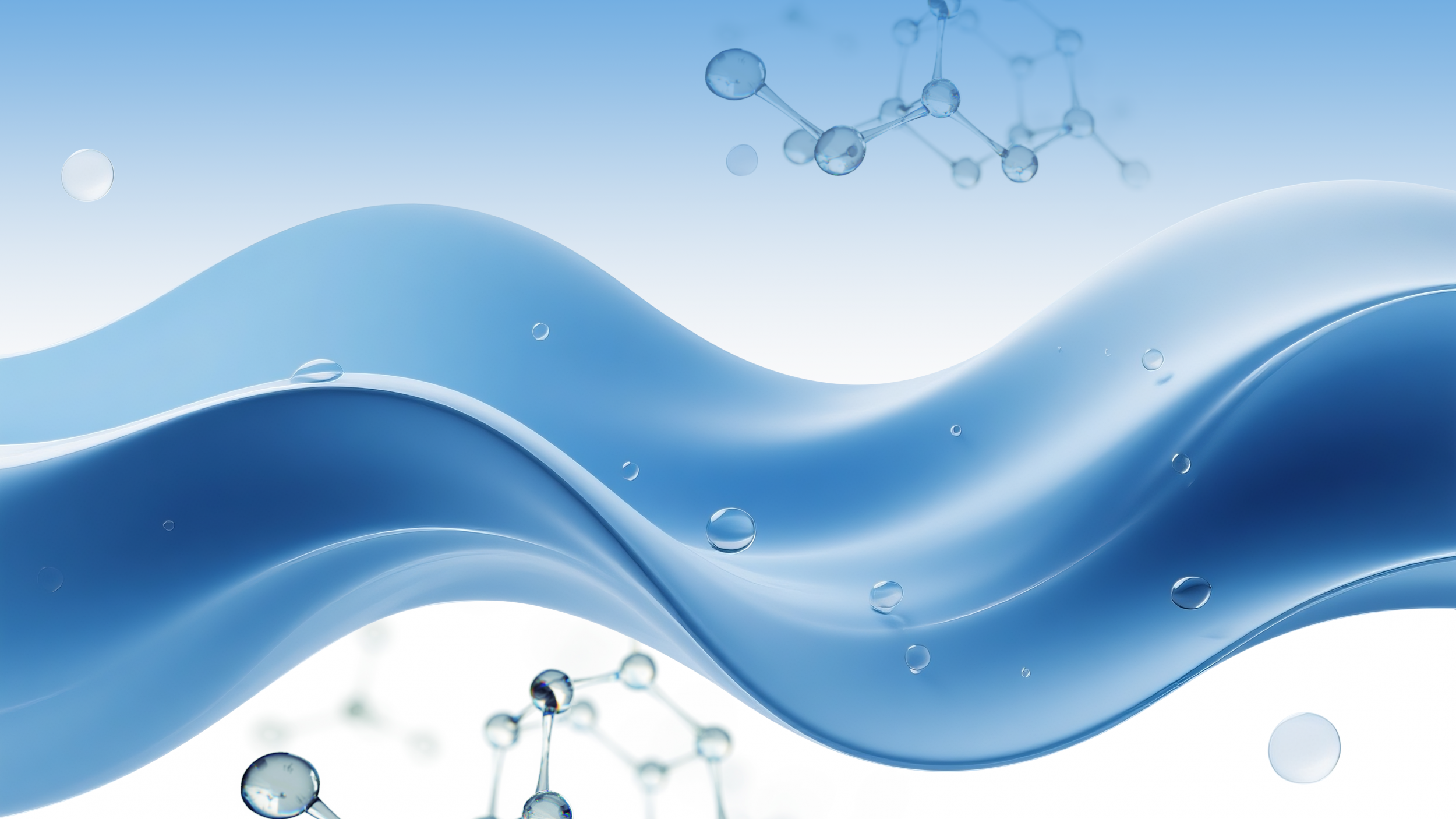banner1